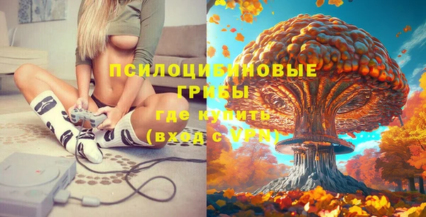 mdpv Гусев