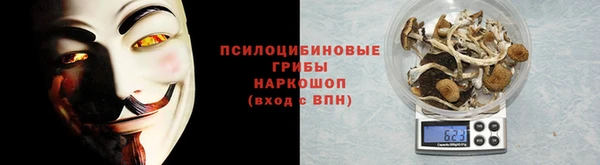 mdpv Гусев
