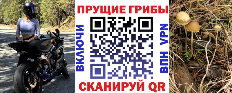 где купить наркоту  МЕГА ссылки  нарко площадка Telegram  Среднеколымск  Галлюциногенные грибы Magic Shrooms 